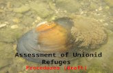 Assessment of Unionid Refuges Procedures (draft).