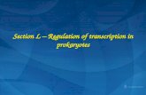 Section L – Regulation of transcription in prokaryotes.