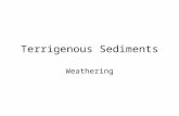 Terrigenous Sediments Weathering. Sediment Production and Weathering Sedimentary Cycle –Components of the Sedimentary Cycle Weathering –Physical Types.