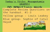 Today’s Title: Mesopotamia GRAPES! DO NOW/Class Work Complete Review Questions on the handout. #1-3 Yellow group – Louis Leakey Blue group- Sophie of Catul.