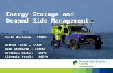 David MacLeman – SSEPD Nathan Coote – SSEPD Mark Stannard – SSEPD Matthieu Michel – UKPN Alistair Steele - SSEPD Energy Storage and Demand Side Management.