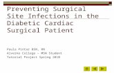 Preventing Surgical Site Infections in the Diabetic Cardiac Surgical Patient Paula Pintar BSN, RN Alverno College – MSN Student Tutorial Project Spring.