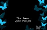 The Pomo A Native American Tribe By Paula M. Podhajecki.
