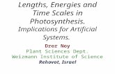 Lengths, Energies and Time Scales in Photosynthesis. Implications for Artificial Systems. Dror Noy Plant Sciences Dept. Weizmann Institute of Science Rehovot,