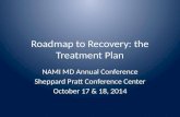 Roadmap to Recovery: the Treatment Plan NAMI MD Annual Conference Sheppard Pratt Conference Center October 17 & 18, 2014.