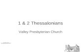1 & 2 Thessalonians Valley Presbyterian Church Basic Principles 2 Timothy 3:16-17 All Scripture is God- breathed and is useful for teaching, rebuking,