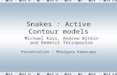 Snakes : Active Contour models Michael Kass, Andrew Witkin and Demetri Terzopoulos Presentation : Bhargava Kamarapu.