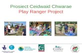 Prosiect Ceidwaid Chwarae Play Ranger Project. Cefndir - Background WAG PlayPrif Negeseuon Main Messages Creating Active Wales Darparieth chwarae of safon.