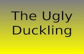 The Ugly Duckling. It’s summer. Mother Duck has got six eggs. Five eggs break and five yellow ducklings come out. But the sixth egg doesn’t break.