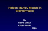 Hidden Markov Models in Bioinformatics By Máthé Zoltán Kőrösi Zoltán 2006.