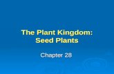 The Plant Kingdom: Seed Plants Chapter 28. Learning Objective 1 Compare the features of gymnosperms and angiosperms Compare the features of gymnosperms.
