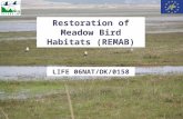 Restoration of Meadow Bird Habitats (REMAB) LIFE 06NAT/DK/0158.