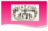 The Shoshone Tribe By:McKenna. Dedication page Where did the Shoshone tribe live? What work did men, women, and children do? Where there any special ceremonies.
