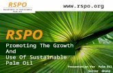 Promoting The Growth And Use Of Sustainable Palm Oil RSPO  Presentation for Palm Oil Sector Ghana March 2009 RSPO Roundtable on Sustainable.