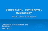 Zebrafish, Danio rerio, Husbandry Round Table Discussion Zebrafish Development and Genetics MBL 2012