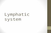Lymphatic system. Lymphatic System Consists of organs, ducts, and nodes. It transports a watery clear fluid called lymph. This fluid distributes immune.