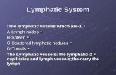 Lymphatic System 1-The lymphatic tissues which are: A-Lymph nodes B-Spleen C-Scattered lymphatic nodules D-Tonsils 2-The Lymphatic vessels: the lymphatic.