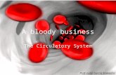 A bloody business The Circulatory System Prof. Luigi García Saavedra.