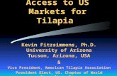 Strategies of Access to US Markets for Tilapia Kevin Fitzsimmons, Ph.D. University of Arizona Tucson, Arizona, USA & Vice President, American Tilapia Association.