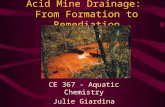 Acid Mine Drainage: From Formation to Remediation CE 367 - Aquatic Chemistry Julie Giardina Dominike Merle.