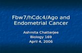 Fbw7/hCdc4/Ago and Endometrial Cancer Ashmita Chatterjee Biology 169 April 4, 2006.