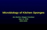 Microbiology of Kitchen Sponges Jim Abshire, Maggie Crenshaw May 10, 2006 BSCI 223H.