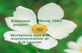 Anemoon project Herug 2002 Workplace and BW implementation at K.U.Leuven.