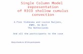 Single Column Model representation of RICO shallow cumulus convection A.Pier Siebesma and Louise Nuijens, KNMI, De Bilt The Netherlands And all the participants.