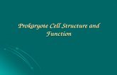 Prokaryote Cell Structure and Function. Background and Classification Caulobactercrescentus.
