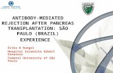 ANTIBODY-MEDIATED REJECTION AFTER PANCREAS TRANSPLANTATION: SÃO PAULO (BRAZIL) EXPERIENCE Érika B Rangel Hospital Israelita Albert Einstein Federal University.