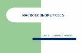 MACROECONOMETRICS LAB 3 – DYNAMIC MODELS. ROADMAP What if we know that the effect lasts in time? Distributed lags – ALMON – KOYCK – ADAPTIVE EXPECTATIONS.