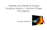 Matlab and Medical Image Analysis basics / Human Image Perception Kostas Marias.