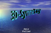 Amir Pelled. Topics What is 3D-Symmetry ? What is 3D-Symmetry ? Basic 3d-Symmetry Definitions Basic 3d-Symmetry Definitions Mathematical Definitions for.