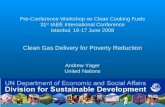Pre-Conference Workshop on Clean Cooking Fuels 31 st IAEE International Conference Istanbul, 16-17 June 2008 Clean Gas Delivery for Poverty Reduction Andrew.