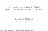 Levente Molnar, INFN-Bari, KFKI-RMKIMarch, 2007, Jyväskylä1 Prospects on identified particle correlation in ALICE Levente Molnar INFN-Bari, KFKI-RMKI.
