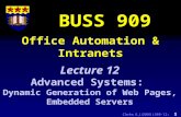 Clarke, R. J (2000) L909-12: 1 Office Automation & Intranets BUSS 909 Lecture 12 Advanced Systems: Dynamic Generation of Web Pages, Embedded Servers.