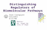 Distinguishing Regulators of Biomolecular Pathways Mentor: Dr. Xiwei Wu City of Hope Sean Caonguyen SoCalBSI 8/21/08.