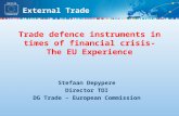 External Trade Stefaan Depypere Director TDI DG Trade – European Commission Trade defence instruments in times of financial crisis- The EU Experience.