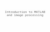 Introduction to MATLAB and image processing. MATLAB and images The help in MATLAB is very good, use it! An image in MATLAB is treated as a matrix Every.