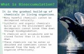 (c) McGraw Hill Ryerson 2007 What is Bioaccumulation? It is the gradual build-up of chemicals in living organisms.  Many harmful chemicals cannot be decomposed.