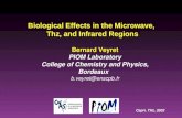 Capri, THz, 2002 Bernard Veyret PIOM Laboratory College of Chemistry and Physics, Bordeaux b.veyret@enscpb.fr Biological Effects in the Microwave, Thz,