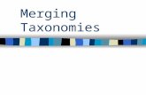 Merging Taxonomies. Assertion Creation and maintenance of large ontologies will require the capability to merge taxonomies This problem is similar to.
