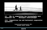 #2811053 (i) Why is competition law increasingly more important for Norwegian undertakings? (ii) Competition law and horizontal cooperation agreements.