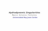 Hydrodynamic Singularities Marco Antonio Fontelos Universidad Rey Juan Carlos.