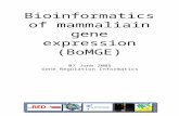 Bioinformatics of mammaliain gene expression (BoMGE) 07 June 2005 Gene Regulation Informatics.