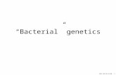 MCB 140 09-19-08 1 “Bacterial” genetics. MCB 140 09-19-08 2 “What are the genes? What is the nature of the elements of heredity that Mendel postulated.