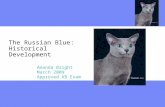 The Russian Blue: Historical Development Amanda Bright March 2009 Approved AB Exam.