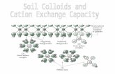 Soil Colloids Particles less than 1 or 2  m behave as soil colloids Total surface area ranges from 10-800 m 2 ·g -1 !!! Internal and external surfaces.