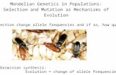 Mendelian Genetics in Populations: Selection and Mutation as Mechanisms of Evolution I.Motivation Can natural selection change allele frequencies and if.
