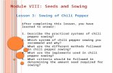 Module VIII: Seeds and Sowing Lesson 3: Sowing of Chili Pepper After completing this lesson, you have learned to answer: 1.Describe the practiced systems.